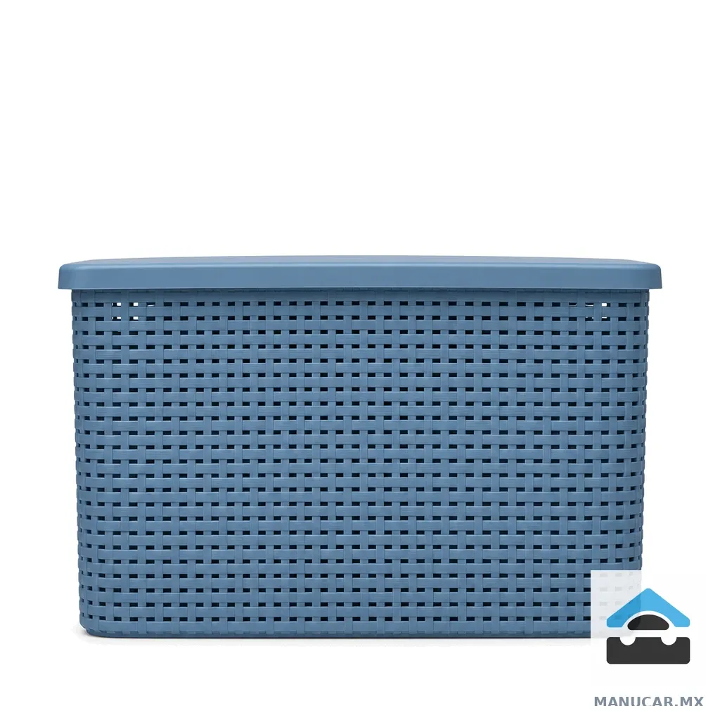 Canasta Rattan con Tapa Mediana Azul, Pieza