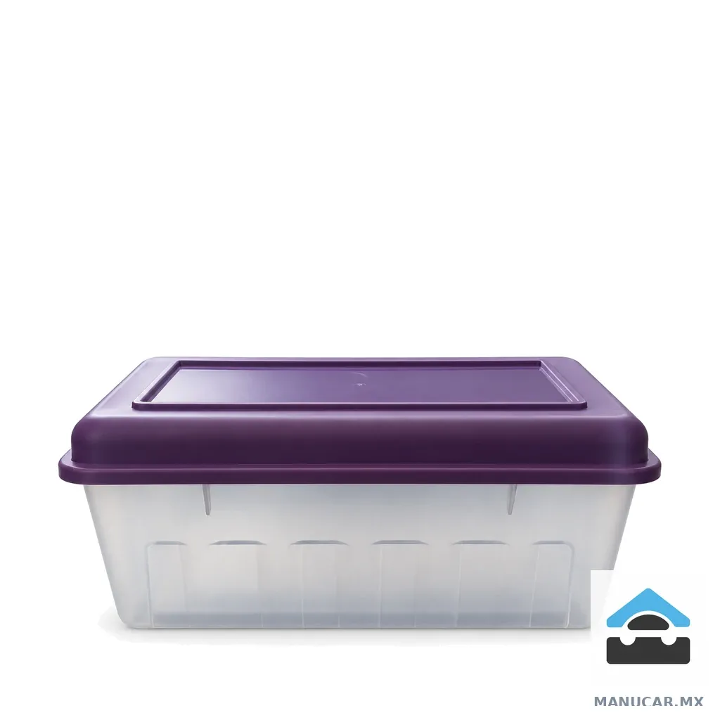 Caja Zapatera 1.5 Gal/ Traslucida, 5.5 L